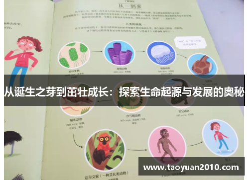 从诞生之芽到茁壮成长：探索生命起源与发展的奥秘