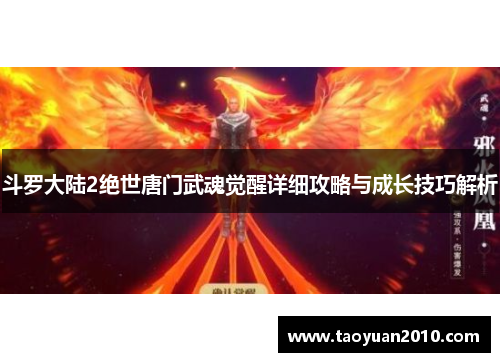 斗罗大陆2绝世唐门武魂觉醒详细攻略与成长技巧解析